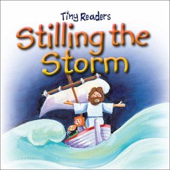 Stilling The Storm (eBook, ePUB) - David, Juliet