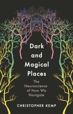 Cover Dark and Magical Places