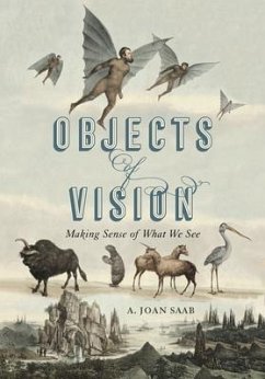 Objects of Vision - Saab, A. Joan (Susan B. Anthony Professor, University of Rochester)