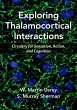 Exploring Thalamocortical Interactions - Bild 1
