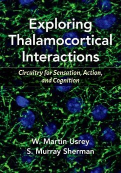 Exploring Thalamocortical Interactions - Sherman, S Murray; Usrey, W Martin