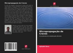 Micropropagação de Cravos - Bora, Ajitabh;Talukdar, Madhumita C