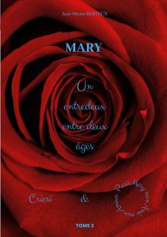 Mary, Tome 3 (eBook, ePUB) - Boiteux, Jean-Michel