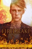 Firedrake (eBook, ePUB)