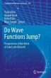 Do Wave Functions Jump? - Bild 1