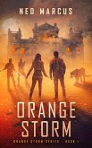 Orange Storm (Orange Storm Series, #1) (eBook, ePUB)