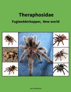 Theraphosidae (eBook, ePUB) - Andersen, Jan