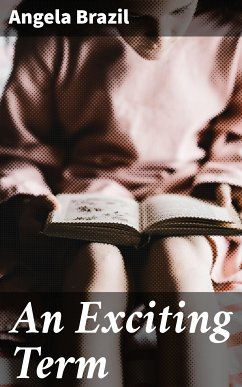 An Exciting Term (eBook, ePUB) - Brazil, Angela