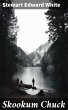 Skookum Chuck (eBook, ePUB) - Bild 1