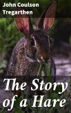 The Story of a Hare (eBook, ePUB)