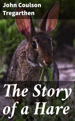 The Story of a Hare (eBook, ePUB) - Tregarthen, John Coulson