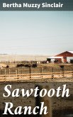 Sawtooth Ranch (eBook, ePUB)
