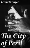 The City of Peril (eBook, ePUB)