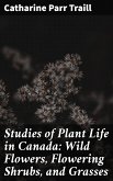 Studies of Plant Life in Canada: Wild Flowers, Flowering Shrubs, and Grasses (eBook, ePUB)