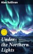Under the Northern Lights (eBook, ePUB) - Bild 1