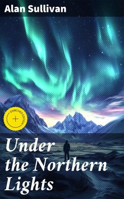 Cover Under the Northern Lights (eBook, ePUB)
