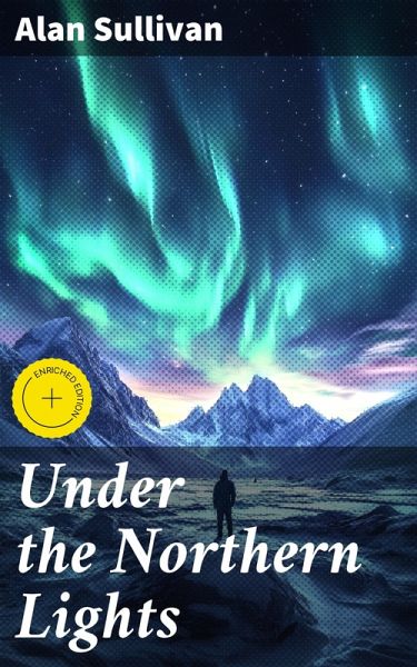 Under the Northern Lights (eBook, ePUB)