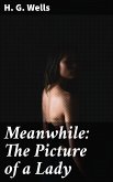 Meanwhile: The Picture of a Lady (eBook, ePUB)