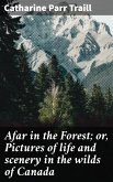 Afar in the Forest; or, Pictures of life and scenery in the wilds of Canada (eBook, ePUB)