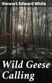 Wild Geese Calling (eBook, ePUB)