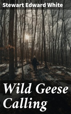 Wild Geese Calling (eBook, ePUB) - White, Stewart Edward