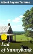 Lad of Sunnybank (eBook, ePUB) - Bild 1