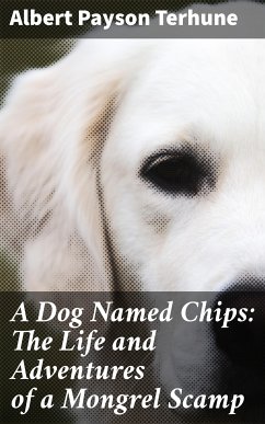 A Dog Named Chips: The Life and Adventures of a Mongrel Scamp (eBook, ePUB) - Terhune, Albert Payson