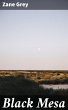 Black Mesa (eBook, ePUB) - Bild 1