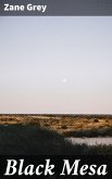 Black Mesa (eBook, ePUB)