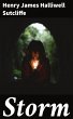Storm (eBook, ePUB) - Bild 1