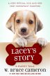 Lacey's Story - Bild 1
