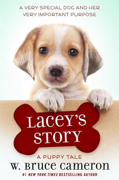 Lacey's Story - Cameron, W Bruce