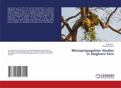 Micropropagation Studies in Staghorn Fern - G., Gopinath;Prasad, Shiva Sai