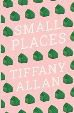 Small Places - Allan, Tiffany