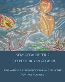 SEXY GEFAHR, TEIL 2! SEXY POOL BOY IN GEFAHR! (eBook, ePUB)