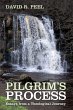 Pilgrim's Process - Bild 1