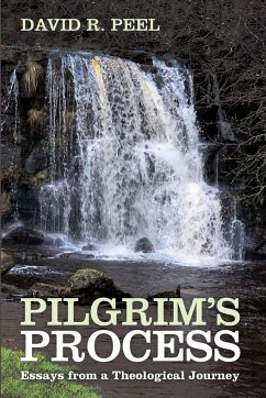 Pilgrim's Process - Peel, David R.