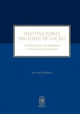 Instituciones sin fines de lucro (eBook, ePUB)