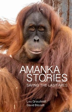 Amanka Stories (eBook, ePUB) - Grossfeldt, Lou; Blissett, David