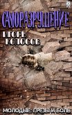 Саморазрушение (eBook, ePUB)