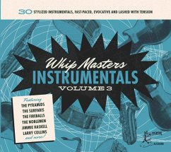 Whip Masters Instrumental Vol.3 - Diverse