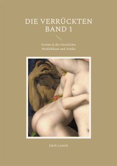 Die Verrückten (eBook, ePUB) - Landolt, Jakob