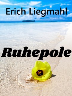 Ruhepole (eBook, ePUB)