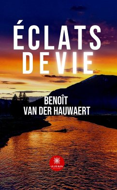 Éclats de vie (eBook, ePUB) - Van Der Hauwaert, Benoît