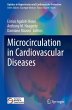 Microcirculation in Cardiovascular... - Bild 1