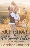 Four Seasons in Wildwood Falls (eBook, ePUB)