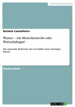Wasser - ein Menschenrecht oder Wirtschaftsgut? (eBook, PDF) - Castanheira, Rachela