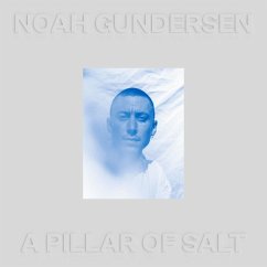 A Pillar Of Salt - Gundersen,Noah