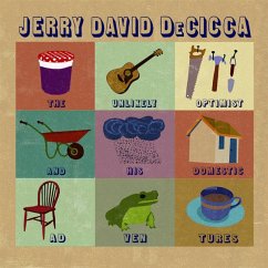 The Unlikely Optimist And His Domestic Adventures - Decicca,Jerry David