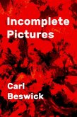 Incomplete Pictures (eBook, ePUB)